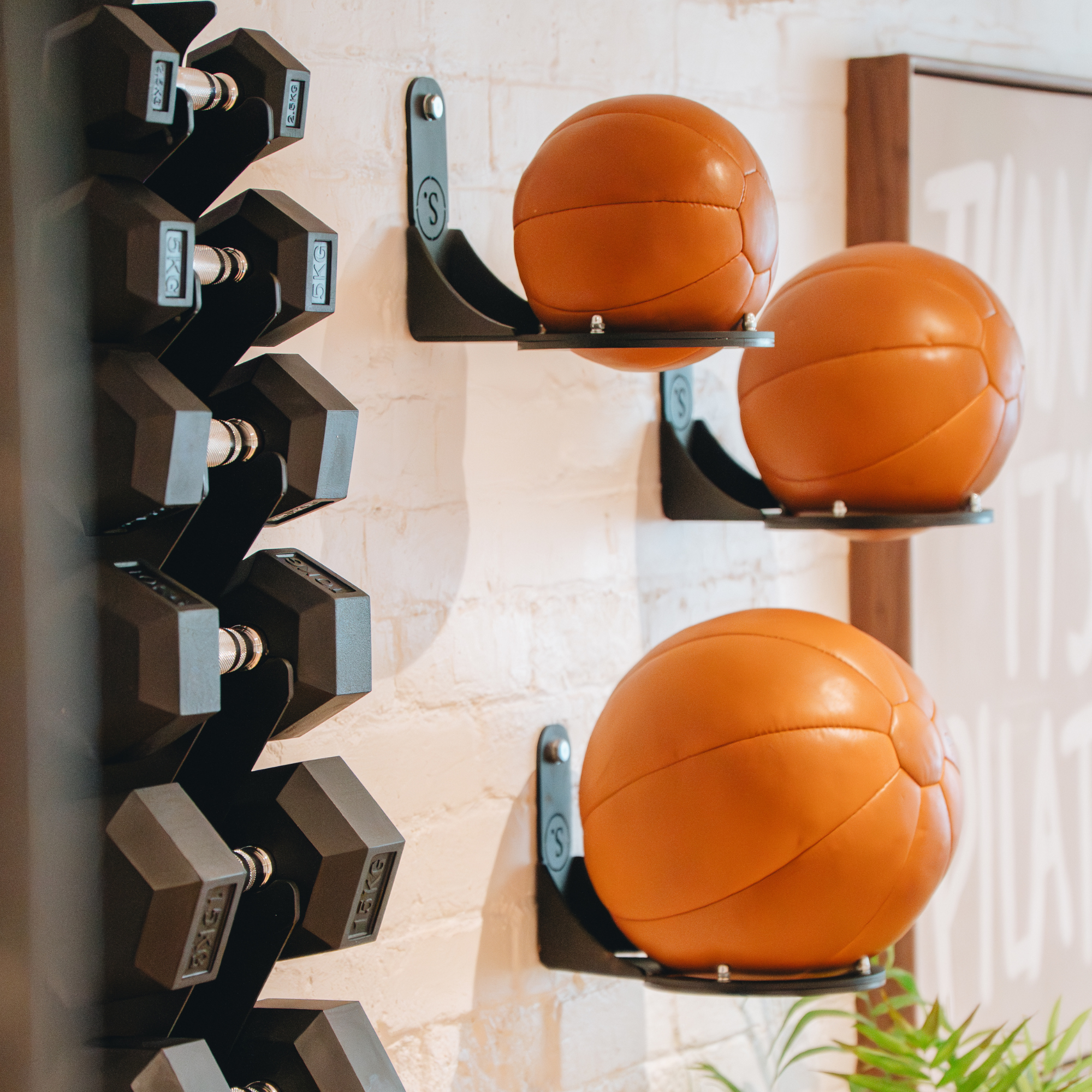 Classic Medicine Ball (Tan Leather)