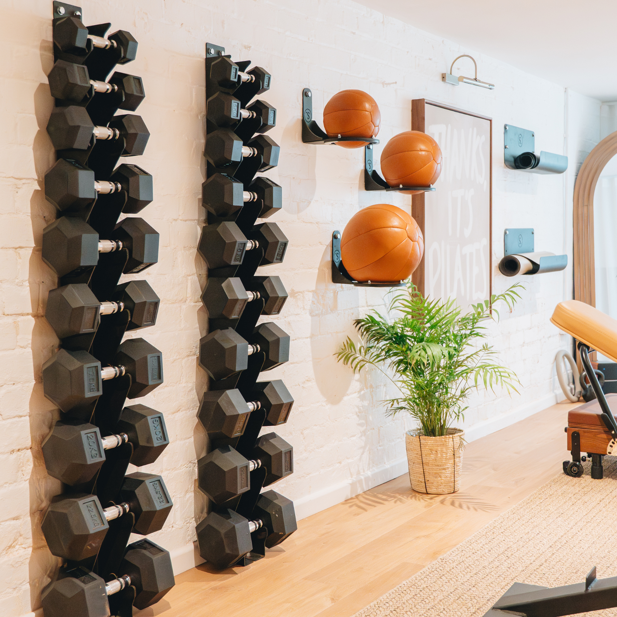 Wall Mounted Dumbbell Storage Rack