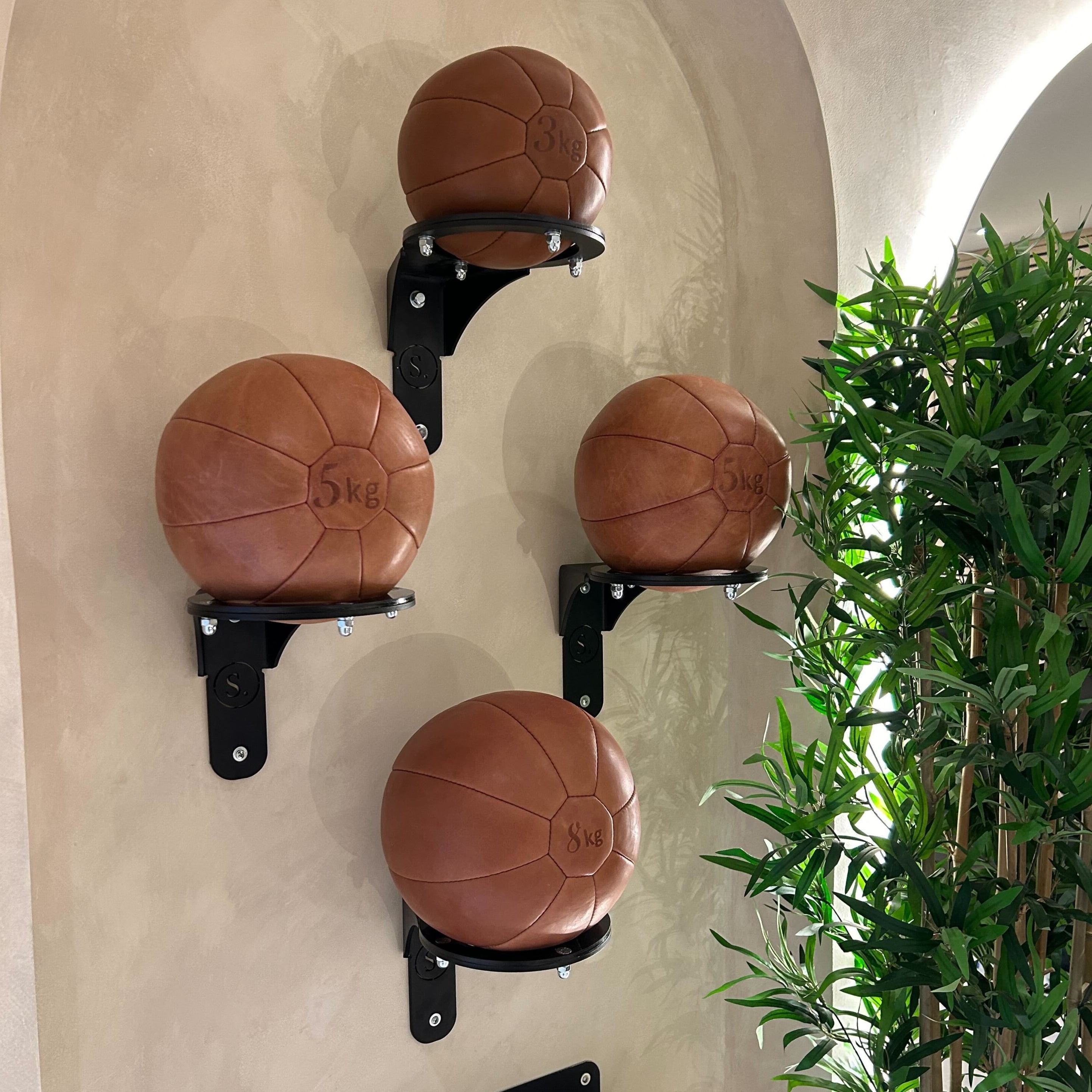 Wall Mounted Medicine Ball Halo