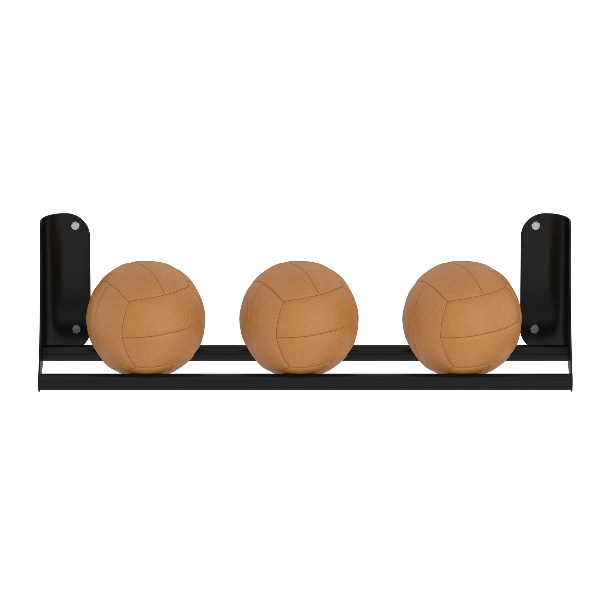 Wall Mounted Medicine Ball Storage Rail