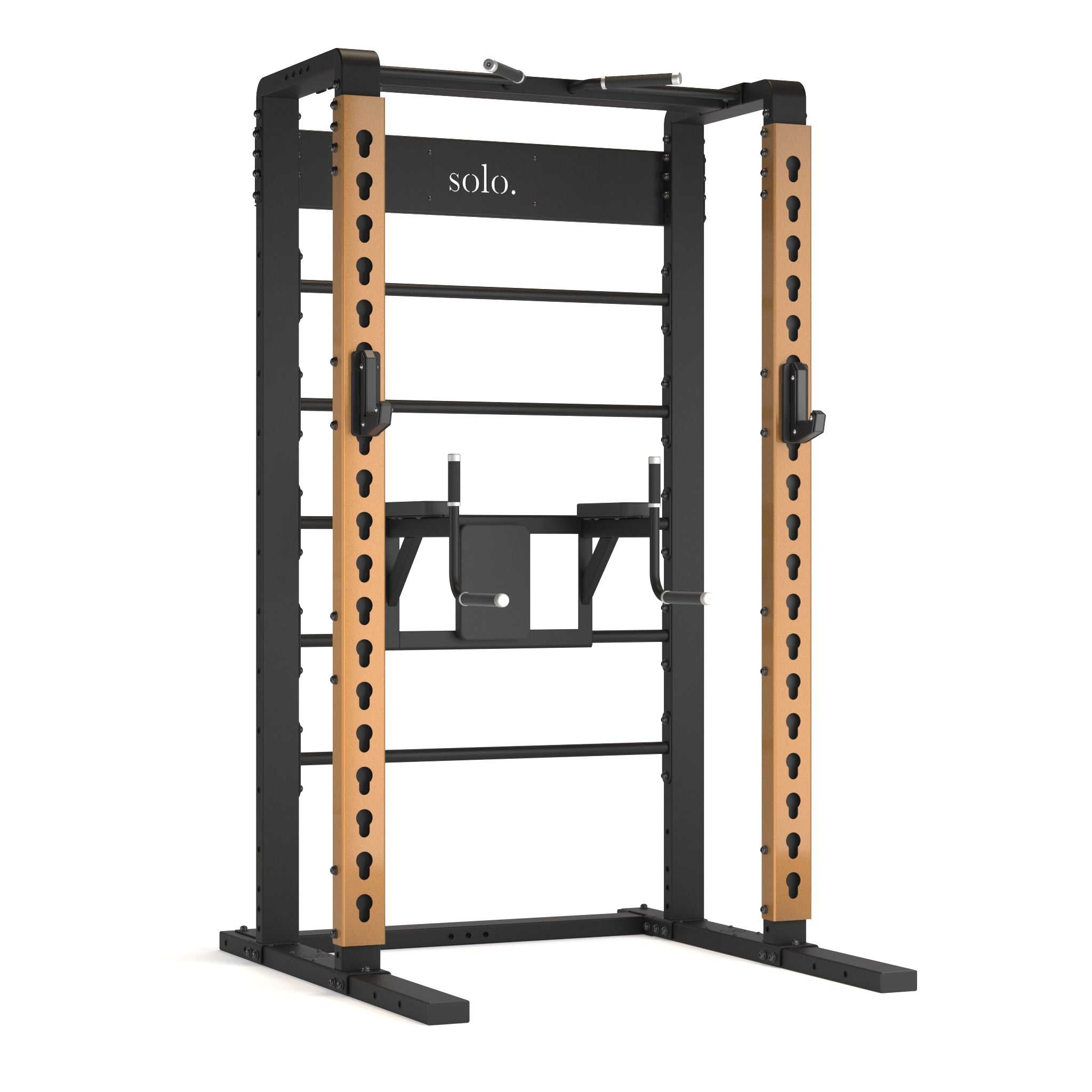 Solo Half Squat Rack with Wall Bars, Dip and Leg Raise