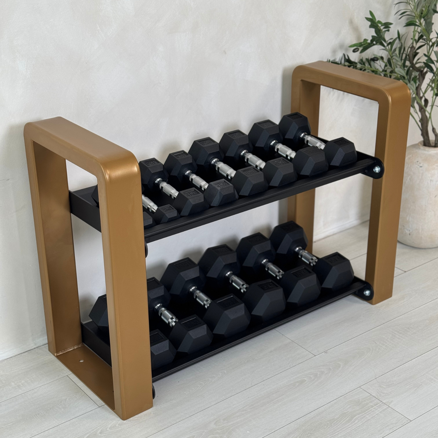 Solo Signature Gym Equipment Shelving