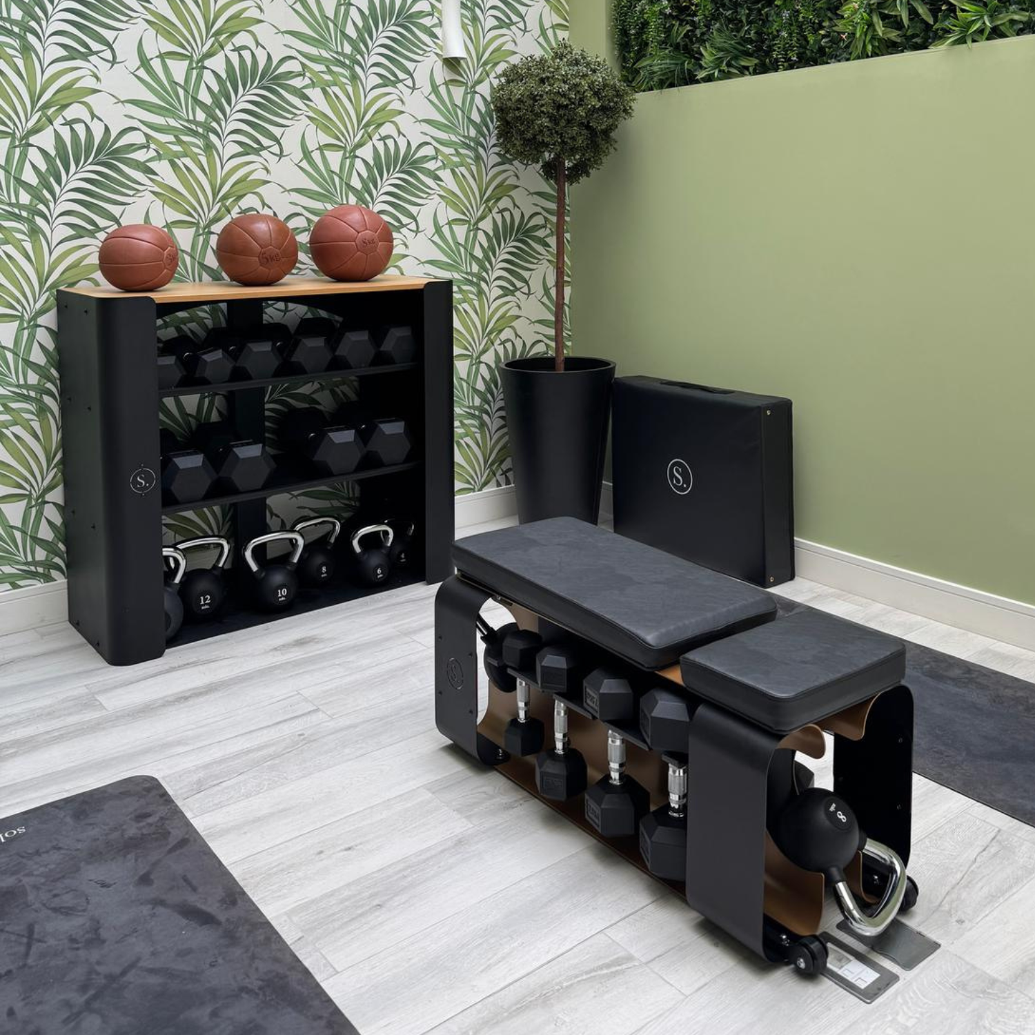 Solo Vault Home Weights Storage Rack