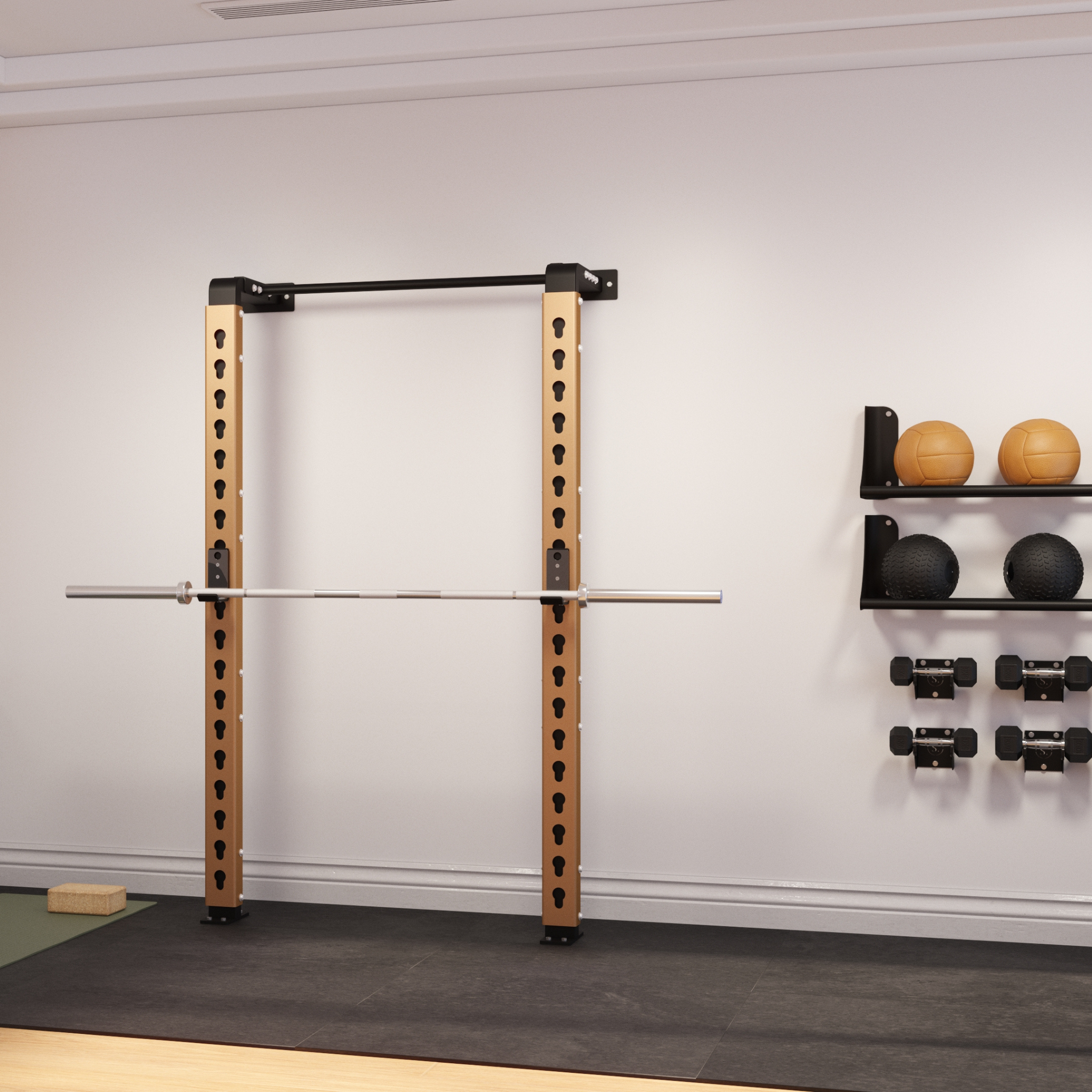 Solo Wall Mounted Squat Rack
