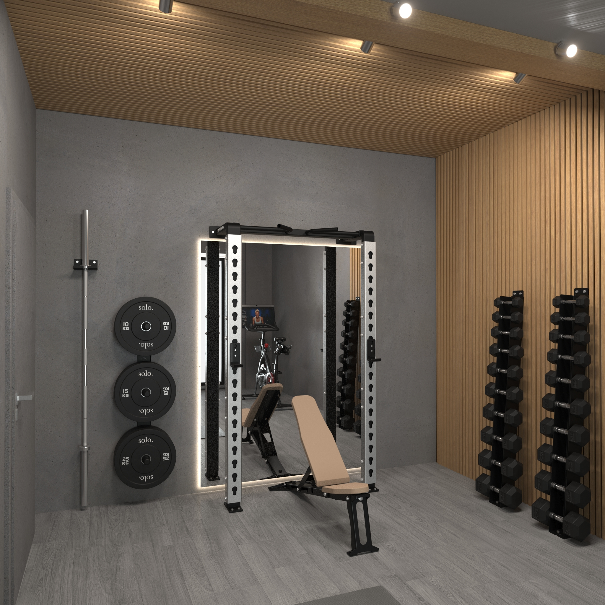 Solo Wall Mounted Squat Rack