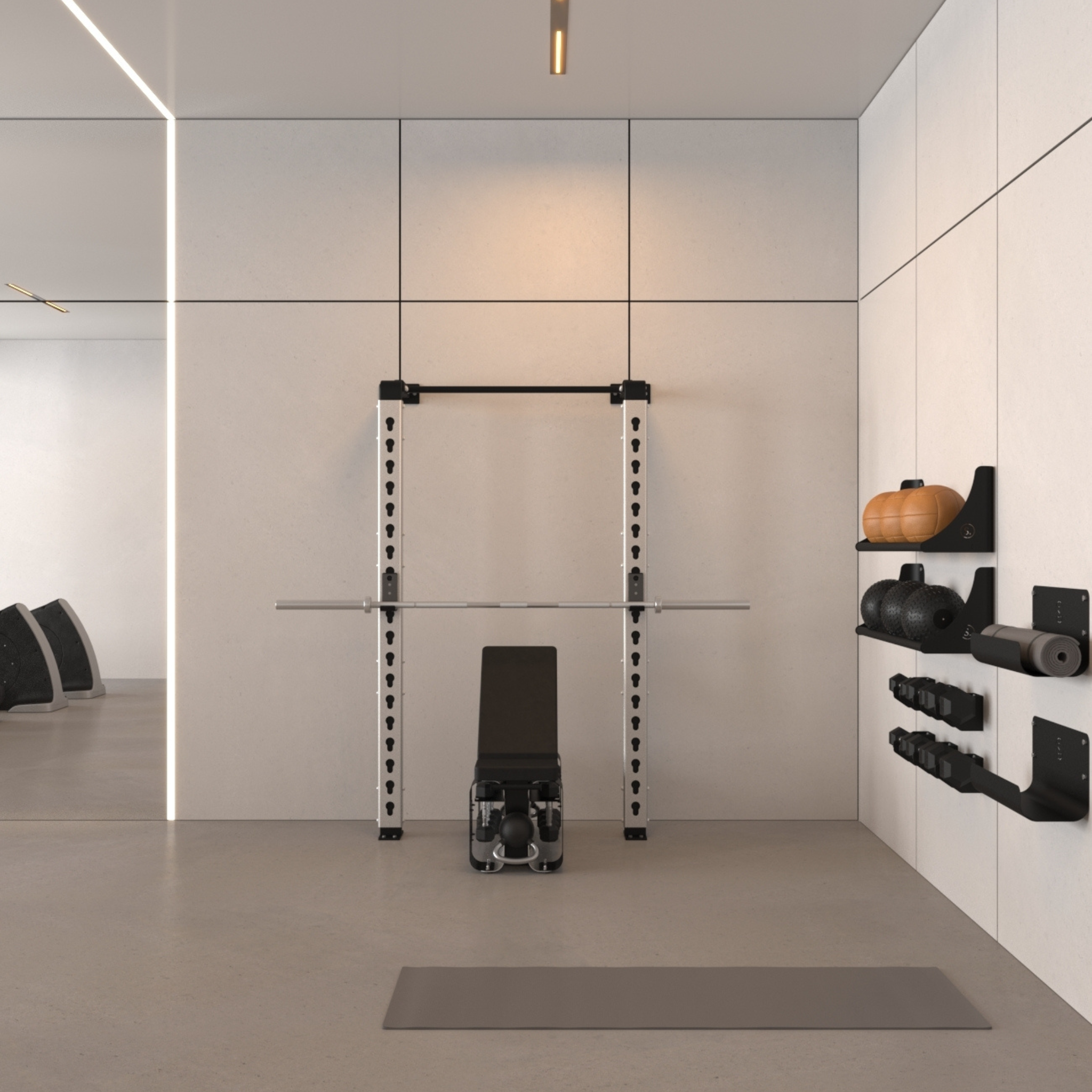Solo Wall Mounted Squat Rack