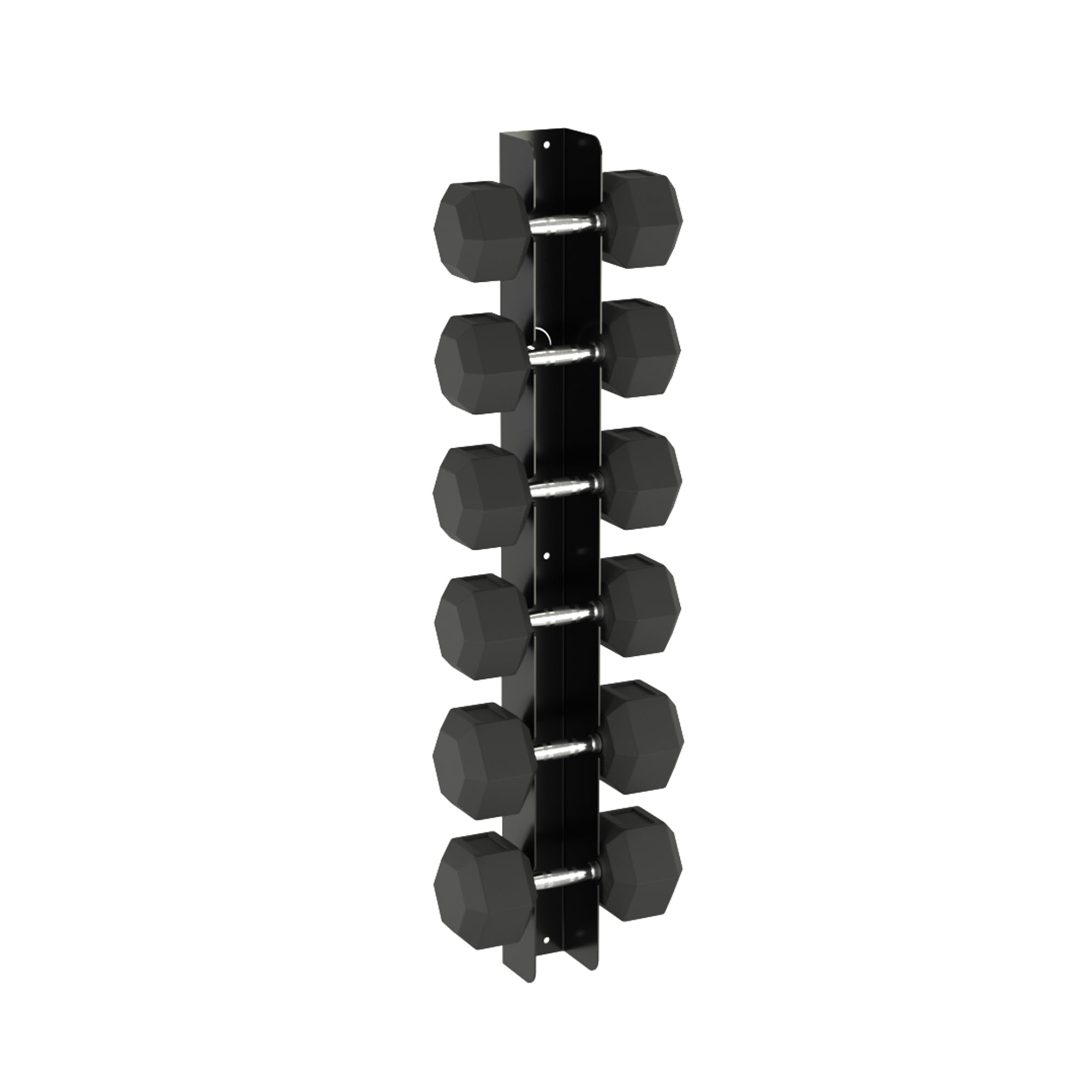 Wall Mounted Dumbbell Storage Rack (Larger Heads x 6)