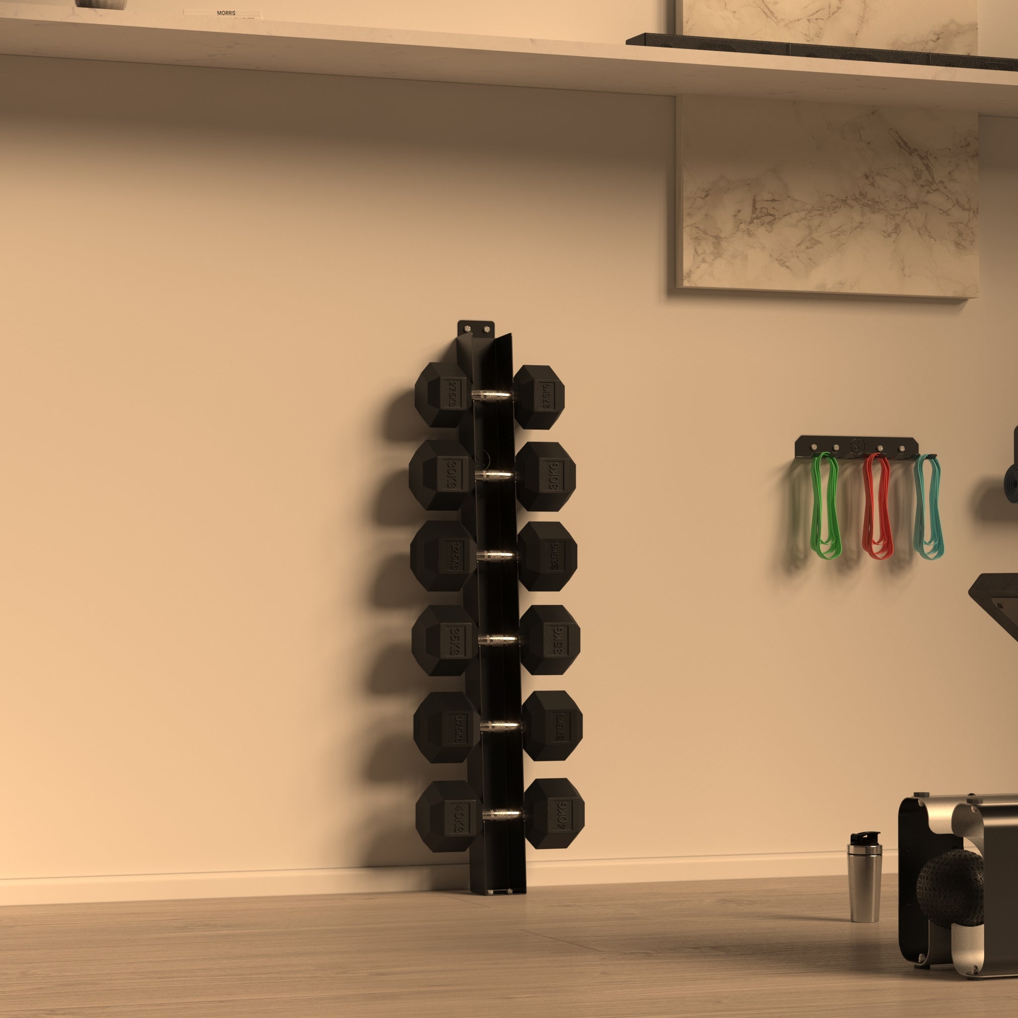 Wall Mounted Angled Dumbbell Storage Rack (XL up to 40kg)