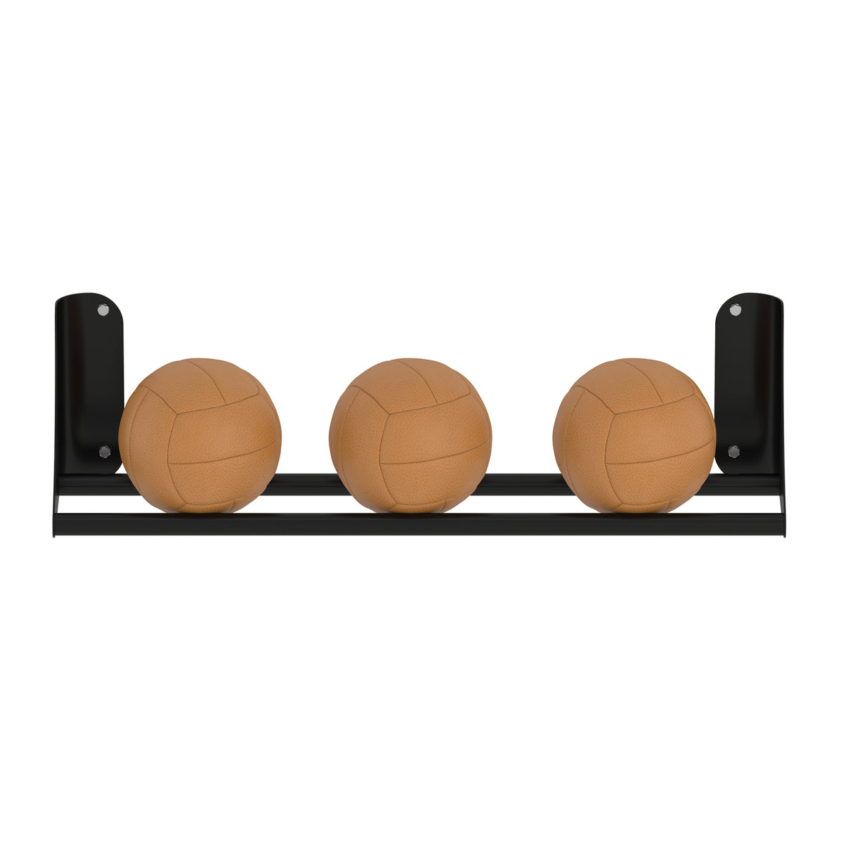 Wall Mounted Medicine Ball Storage Rail