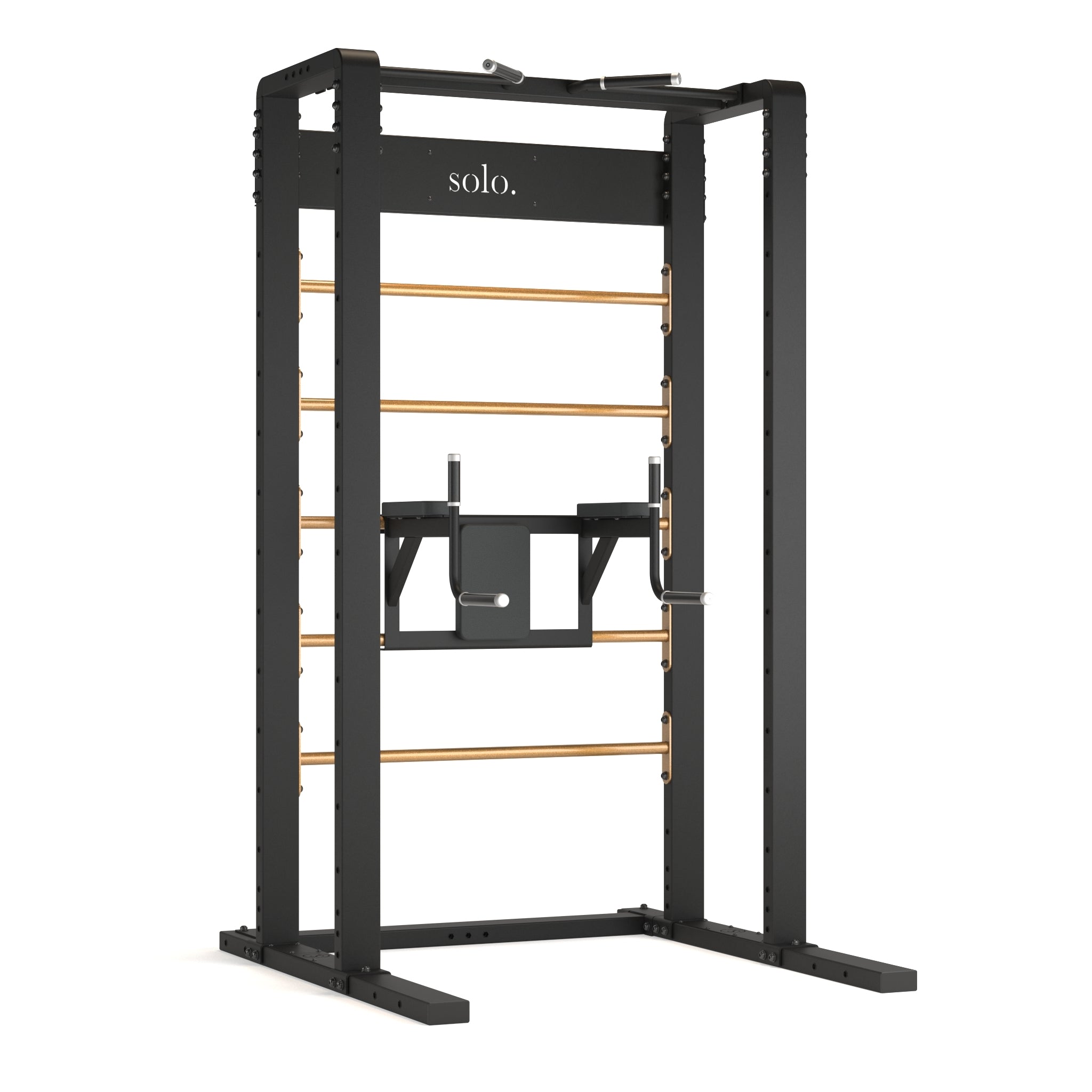 Solo Free Standing Wall Bars with Dip and Leg Raise