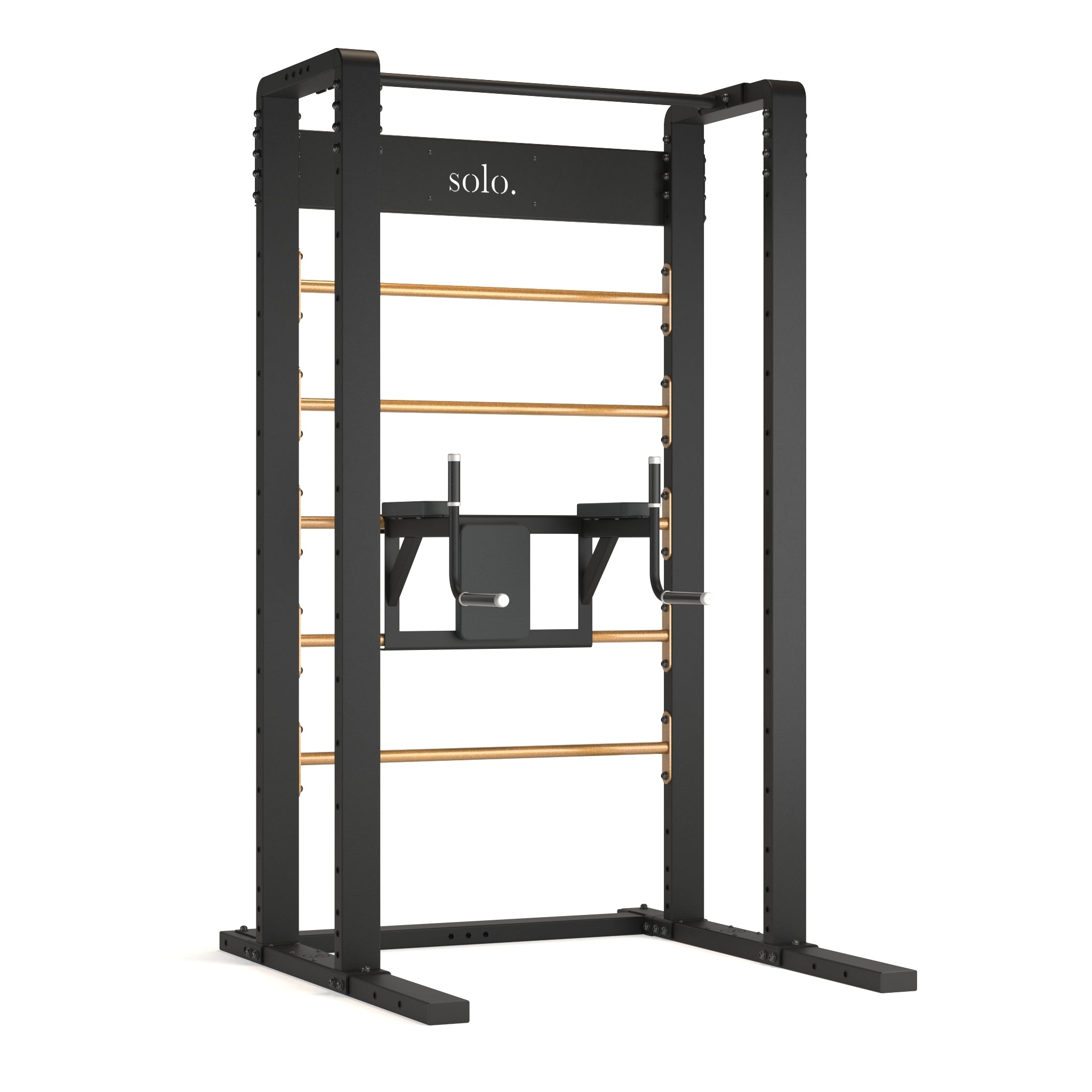 Solo Free Standing Wall Bars with Dip and Leg Raise