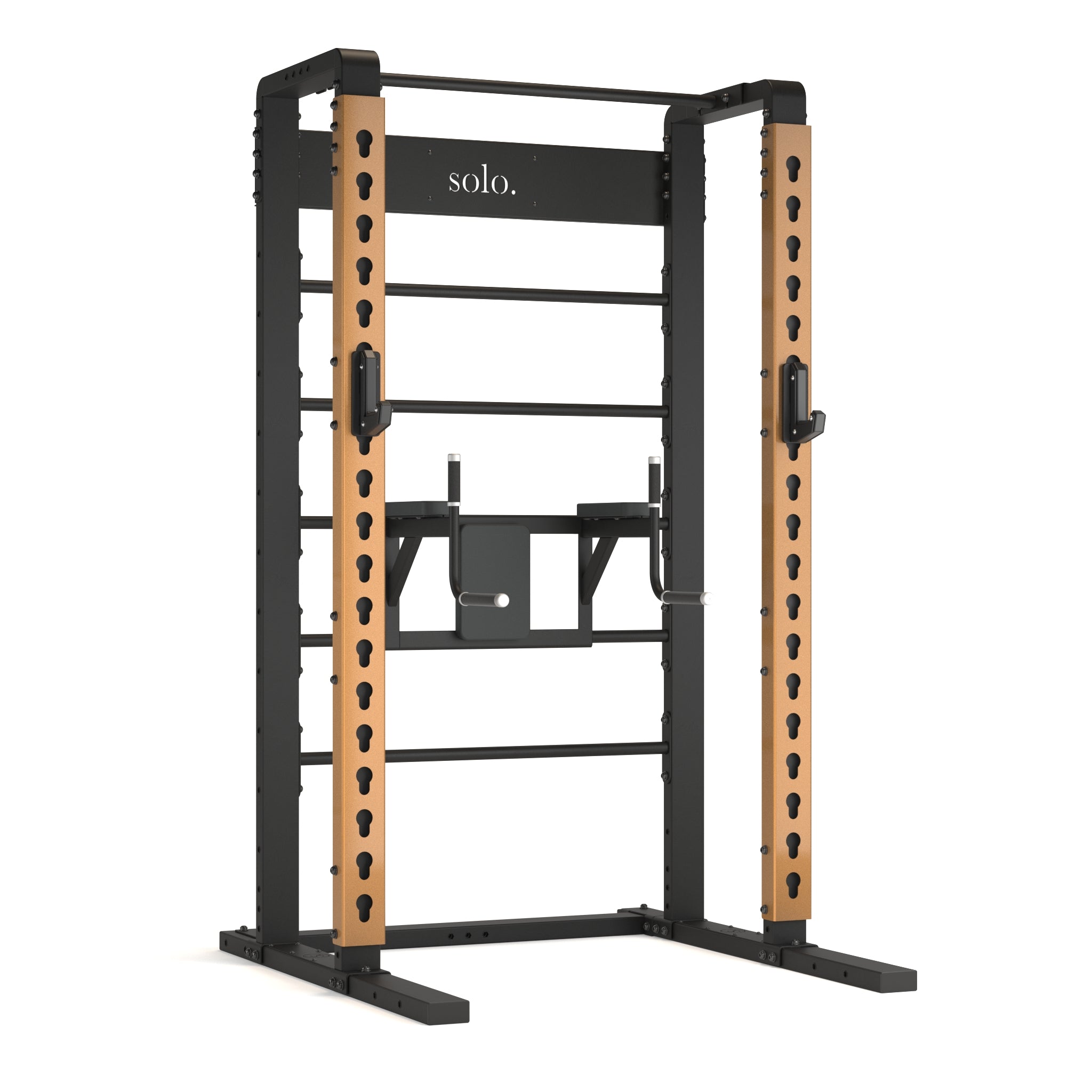 Solo Half Squat Rack with Wall Bars, Dip and Leg Raise