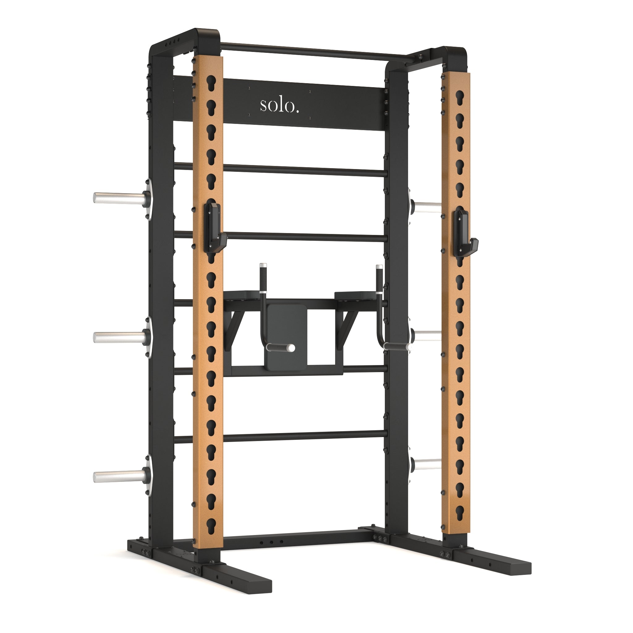 Solo Half Squat Rack with Wall Bars, Dip and Leg Raise