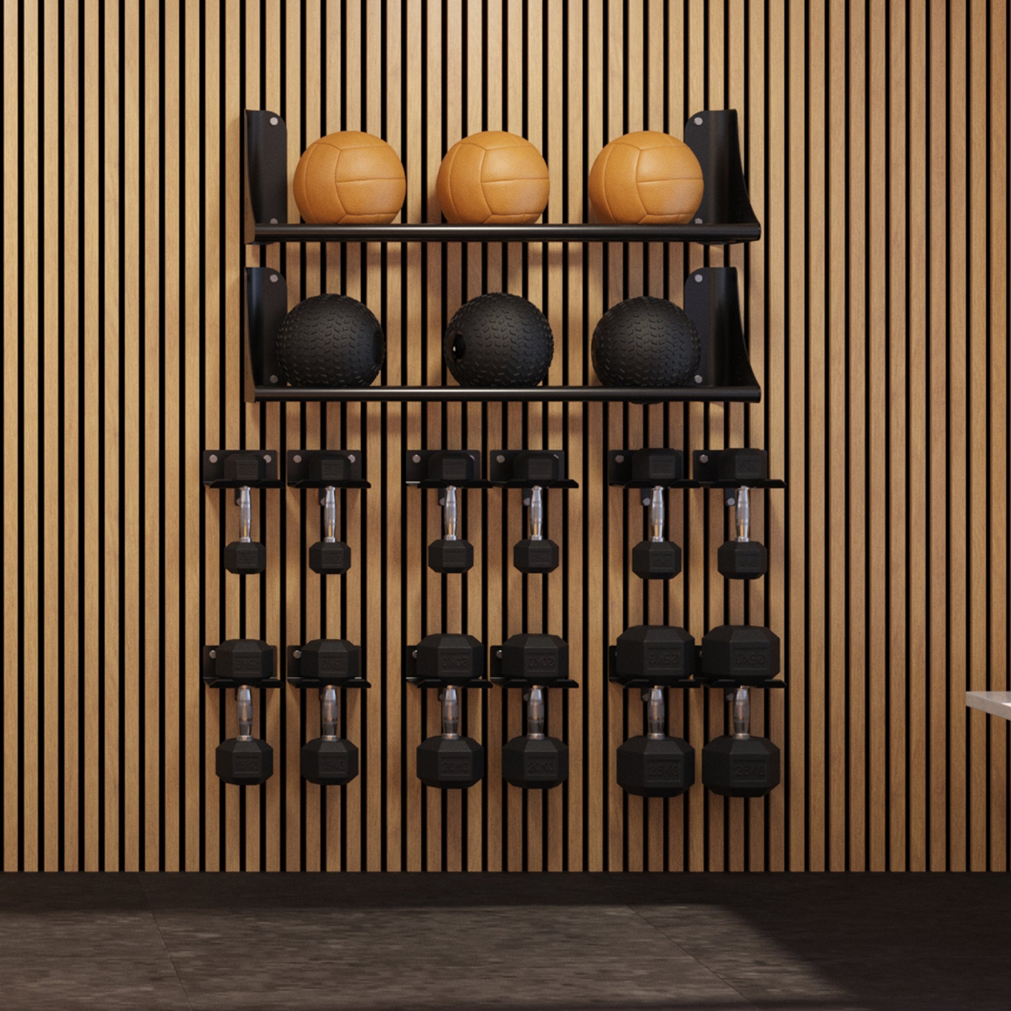 Wall Mounted Dumbbell Storage Hook (Single Dumbbell)