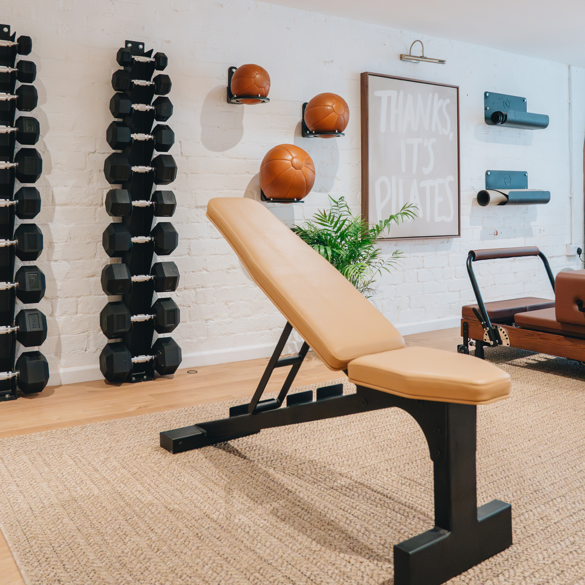 Wall Mounted Dumbbell Storage Rack