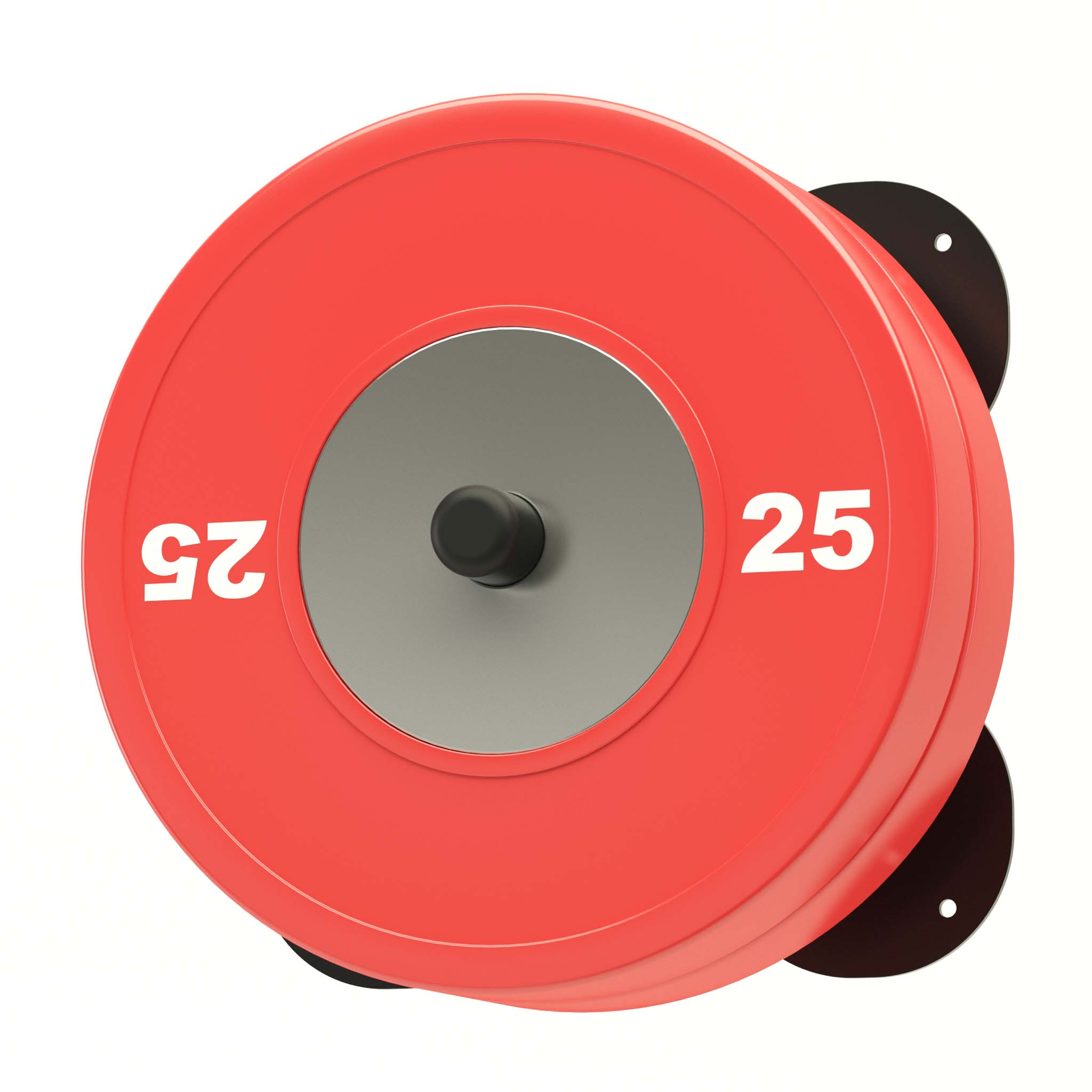 wall mounted weight plate storage peg with red bumpers